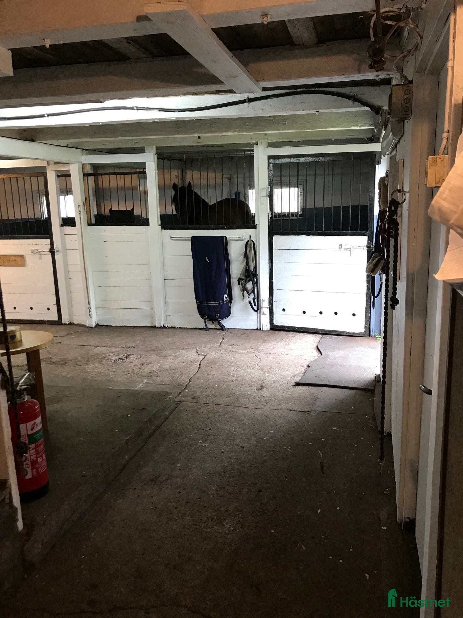  stallplats Boxplatser i Säve i Säve - Annons 16