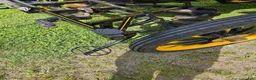 Körvagnar körning till salu: Wagonette  - Annons 5