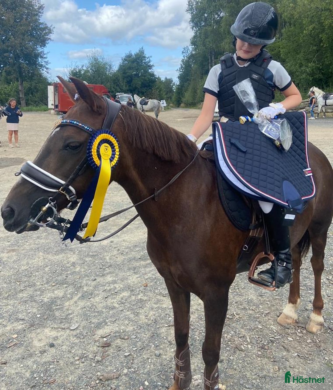 Hoppning hästar till salu: Fantastisk Läromästare  i Sävsjö - Annons 11