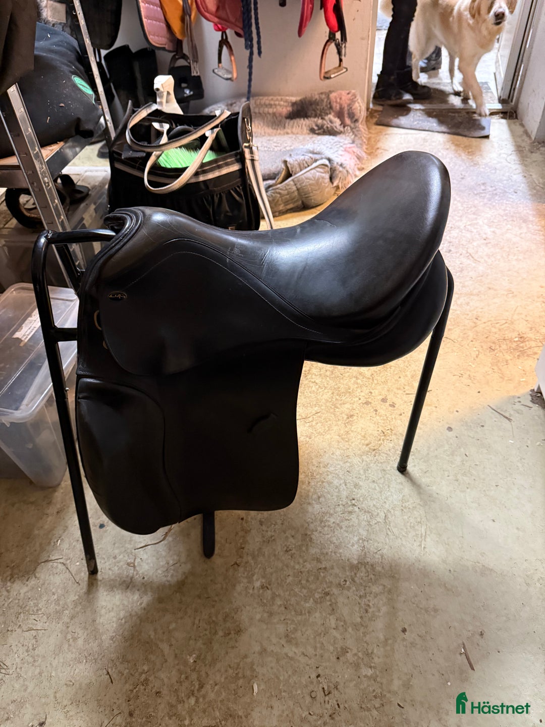 Sadlar hästutrustning till salu: Välanvänd med märken men en bra sadel  i Vallåkra - Annons 3
