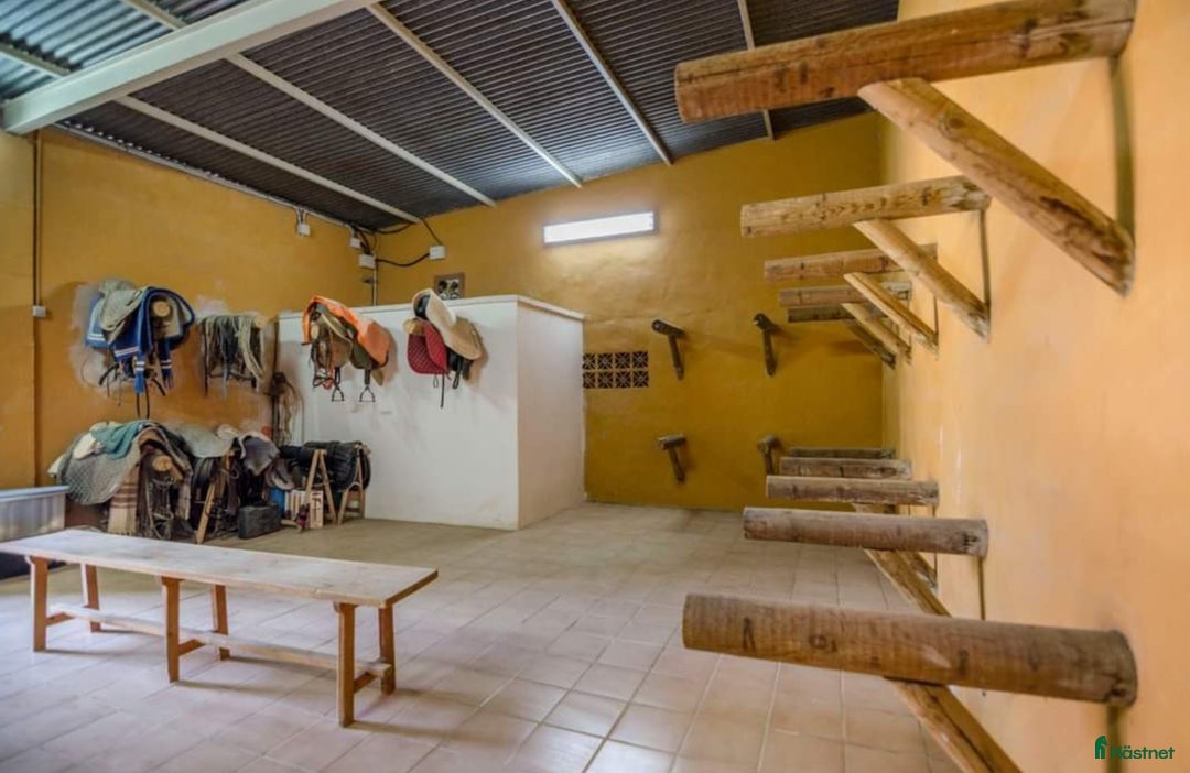  hästgårdar till salu: Hästgård- Costa del Sol, Spanien  i Mijas - Annons 5