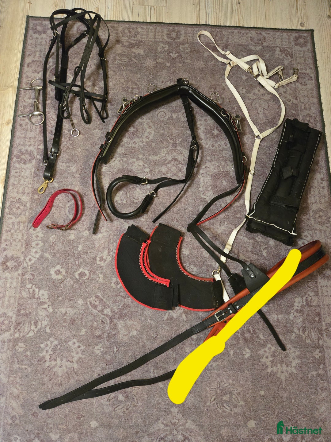 Travselar trav till salu: Finntack sele qh paketpris i Sala - Annons 2