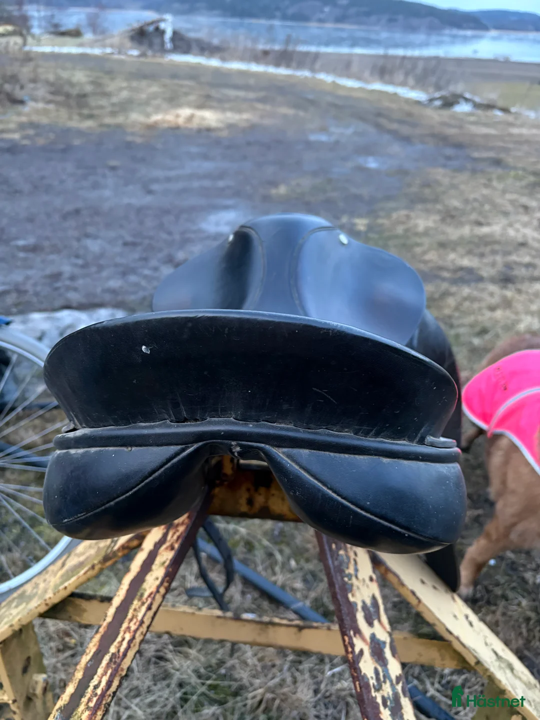 Sadlar hästutrustning till salu: Dressyrsadel - Annons 3