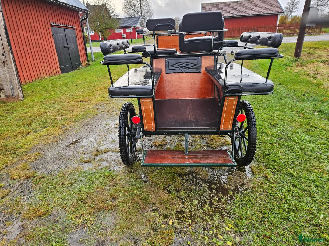 Körvagnar körning till salu: Wagonette  - Annons 3