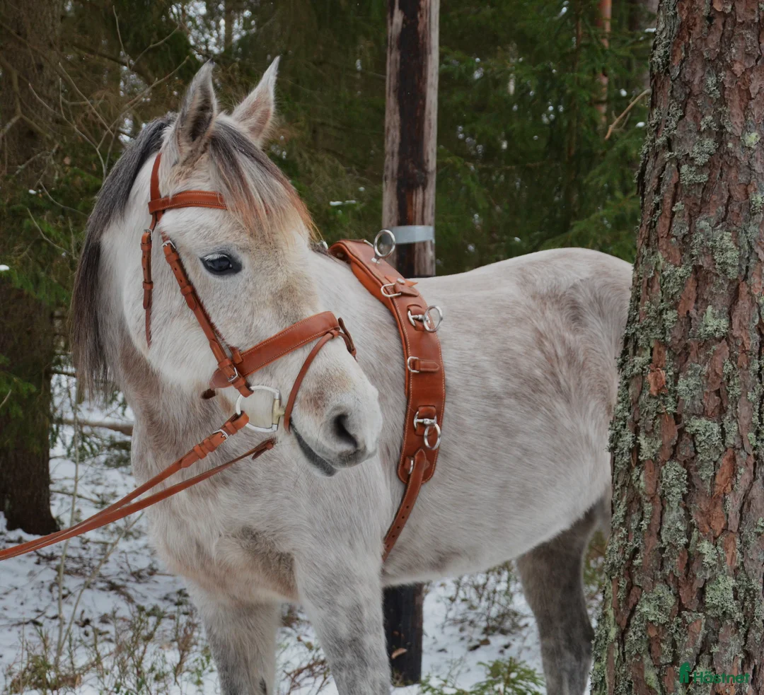 Övrig Körutrustning körning till salu: Tömkörningsdäckel  - Annons 2