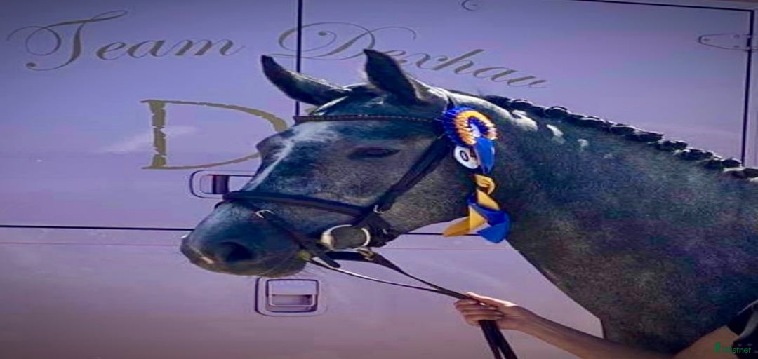 Galleribild {{count}}