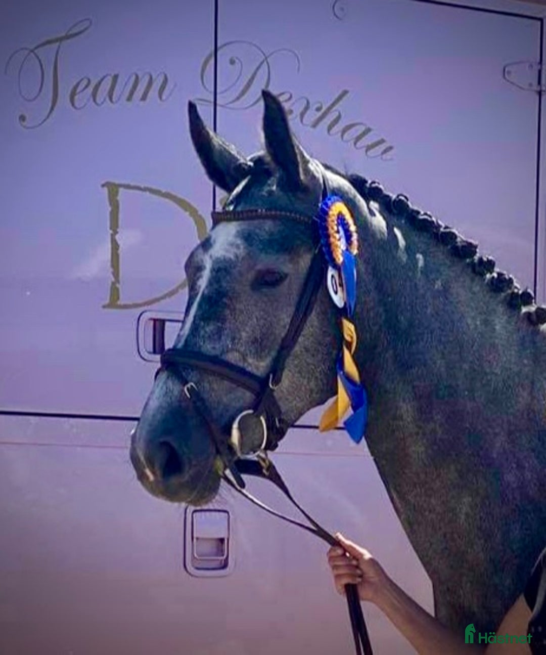 Galleribild {{count}}