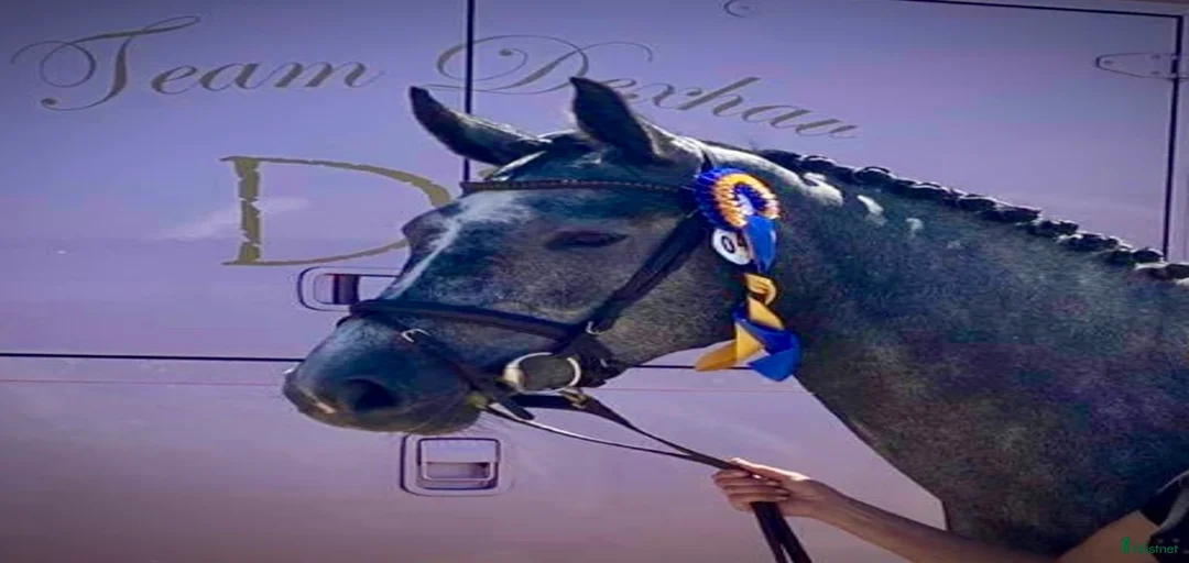 Galleribild {{count}}