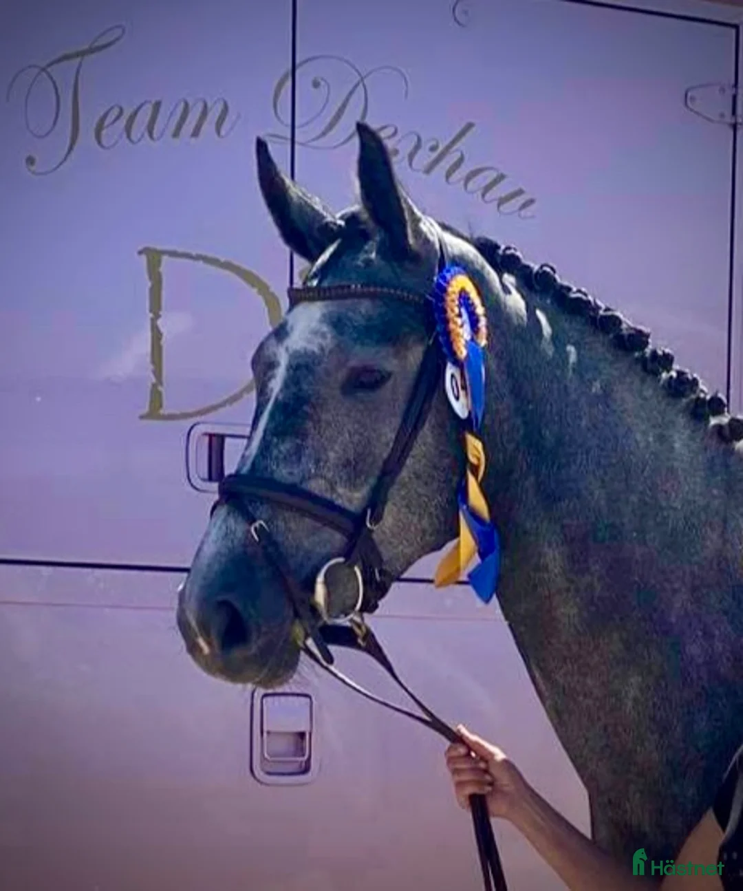 Galleribild {{count}}