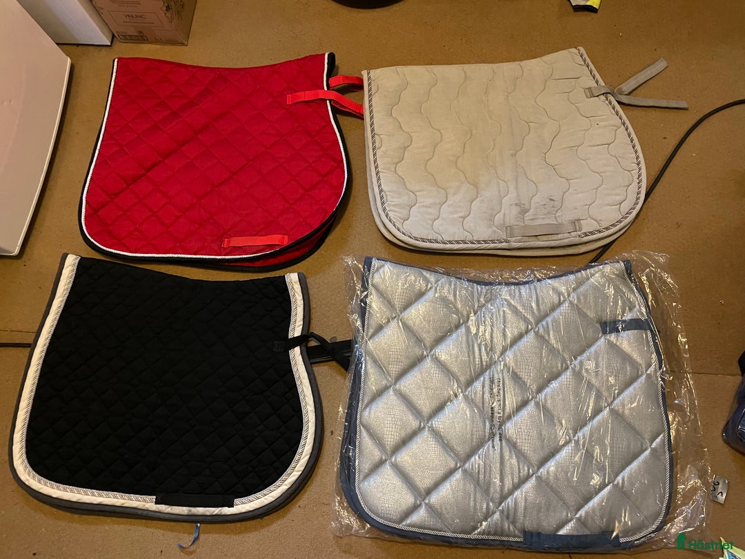 Schabrak & Vojlockar hästutrustning till salu: Schabrak, begagnade och nya  i Vallberga - Annons 3