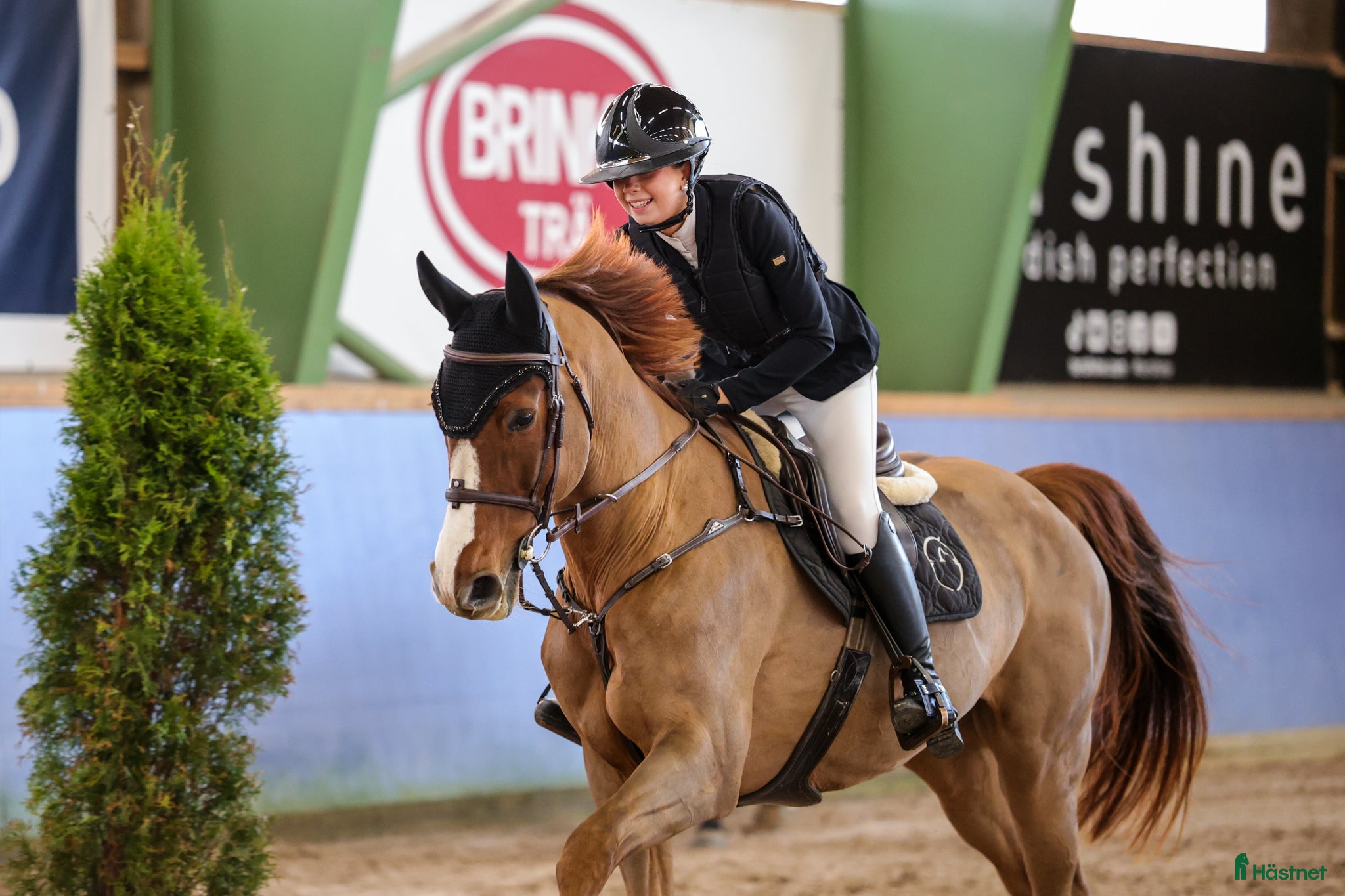  hästar  Chandra – kvalitetsto med stor kapacitet - Annons 2