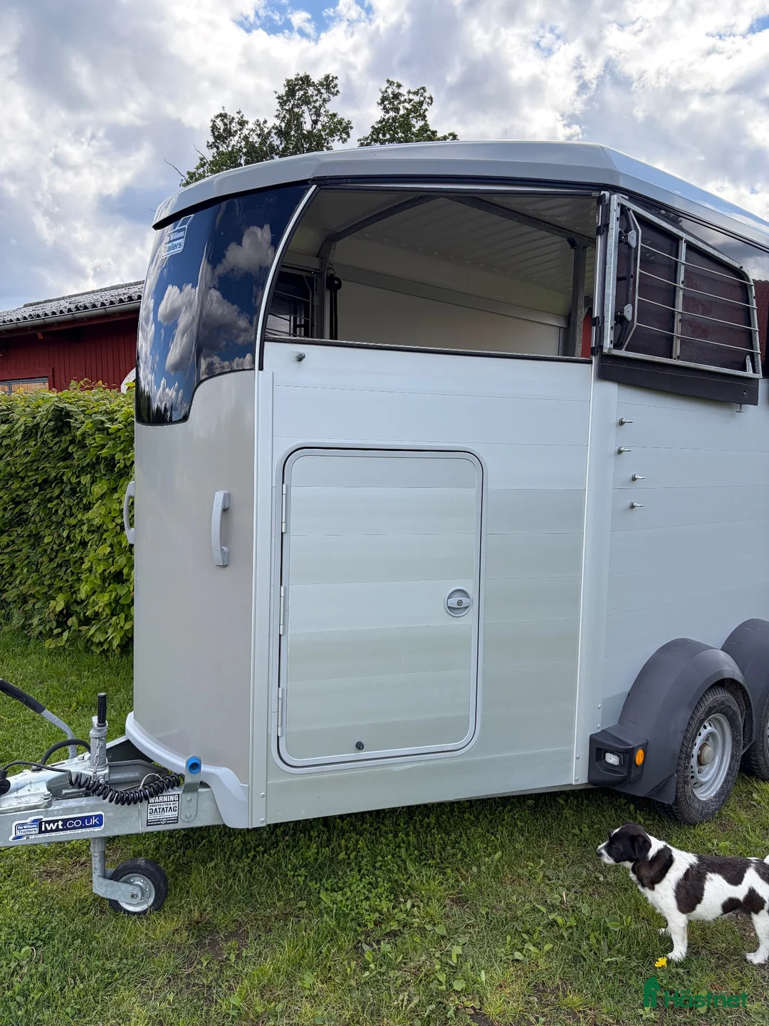 Hästtransporter  fordon & transport till salu: Ifor williams - Annons 1