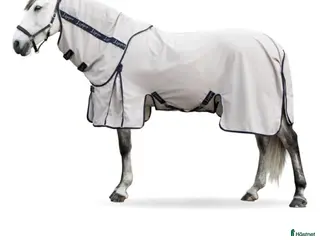 Täcken hästutrustning till salu: Flugtäcke - Annons 2