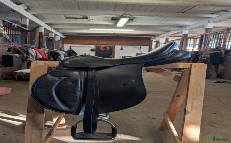 Sadlar hästutrustning till salu i Norrköping - Annons 1