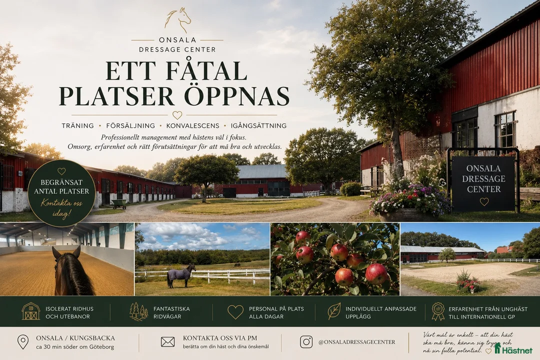 hästservice finnes: 🐴 ETT FÅTAL PLATSER ÖPPNAS – ONSALA/KUNGSBACKA - Annons 1
