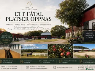 hästservice 🐴 ETT FÅTAL PLATSER ÖPPNAS – ONSALA/KUNGSBACKA - Annons 1