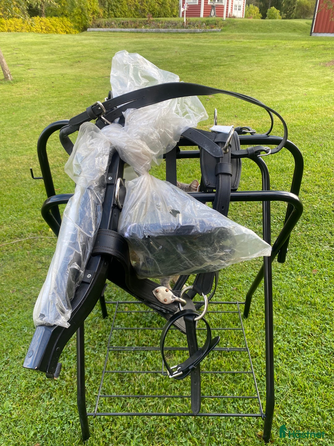 Körselar körning till salu: Komplett Loksele Shetland  i Tenhult - Annons 2