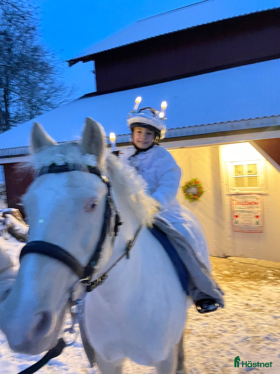 Allround hästar till salu: Trevlig c ponny i Lerum - Bild 22
