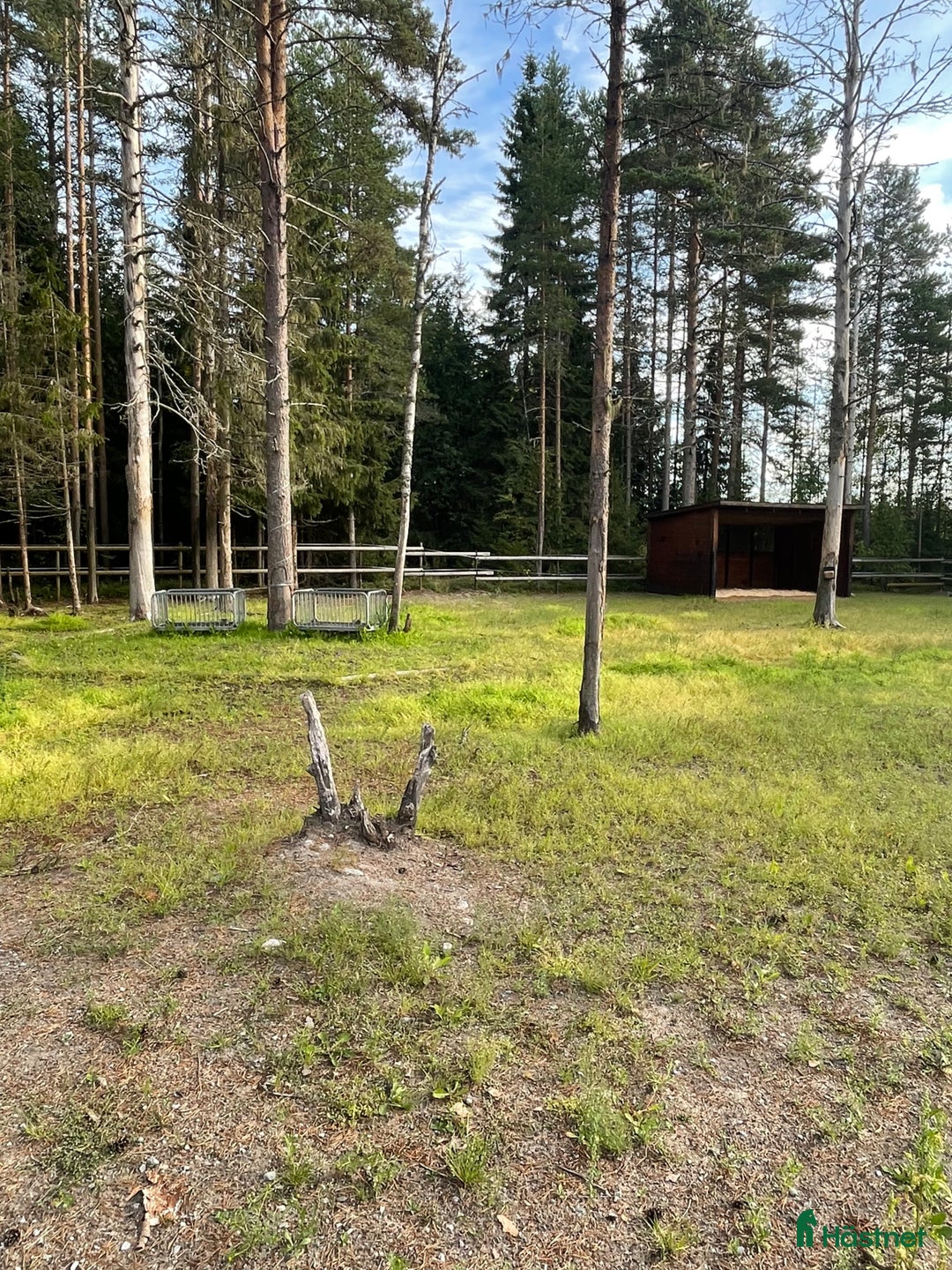  stallplats finnes: Lösdriftsplats med box i Ström i Umeå - Annons 2