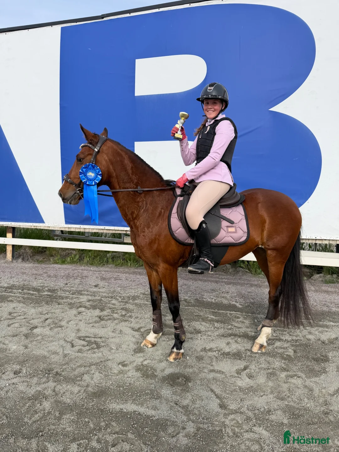 Allround hästar till salu: 🩷Elegant C-ponny - It Aint Easy🩷 - Annons 1