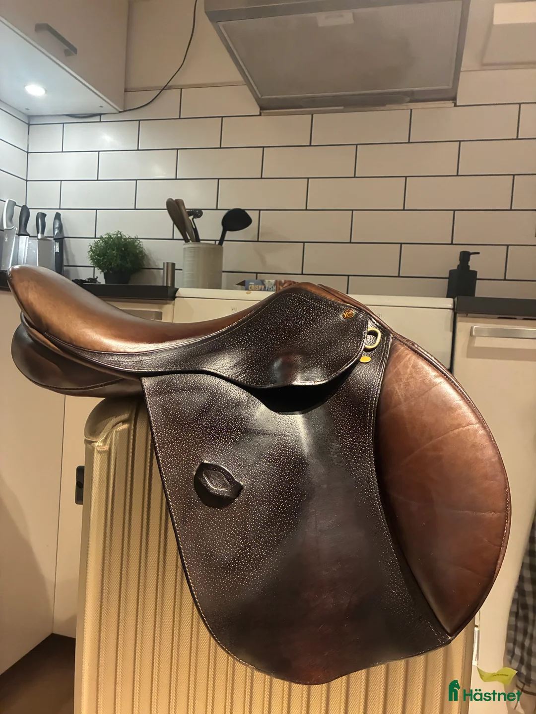 Sadlar hästutrustning till salu: Henri de rivel sadel - Annons 1