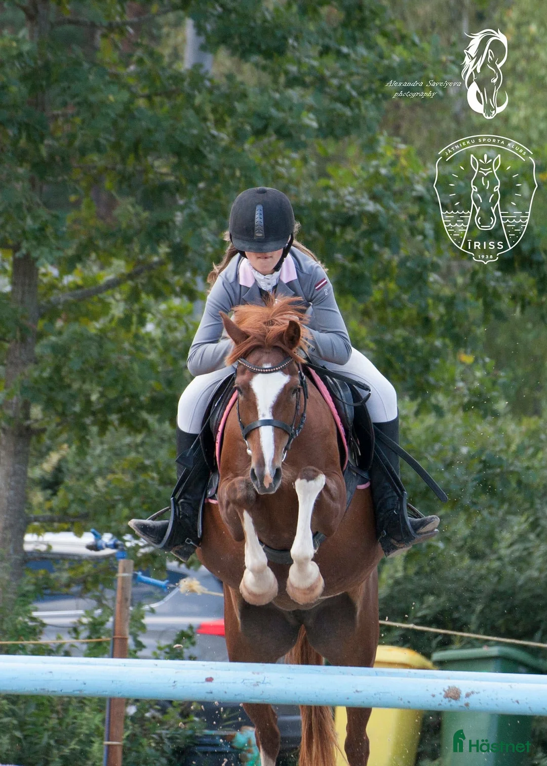 Hoppning hästar till salu: Champion pony i Stockholm - Annons 11