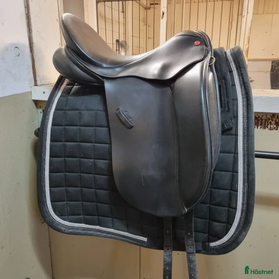 Sadlar hästutrustning till salu: Wellington Elite i Ludvika - Annons 1