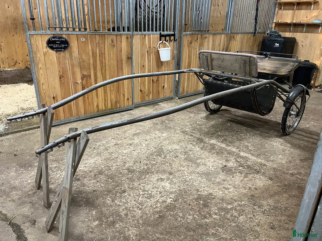 Körvagnar körning till salu: Fin Rockard tvåsitsig + komplett körsele i Ängelholm - Annons 9