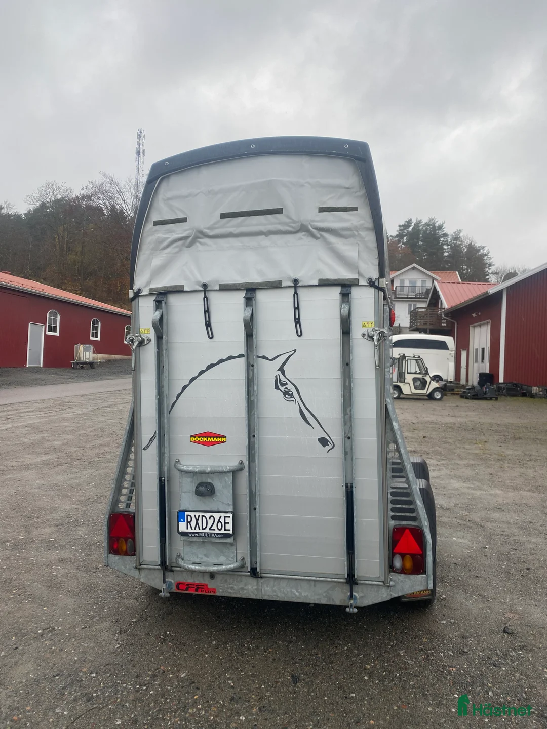 Hästtransporter  fordon & transport till salu: Böckmann Champion Uno-19 - Annons 2