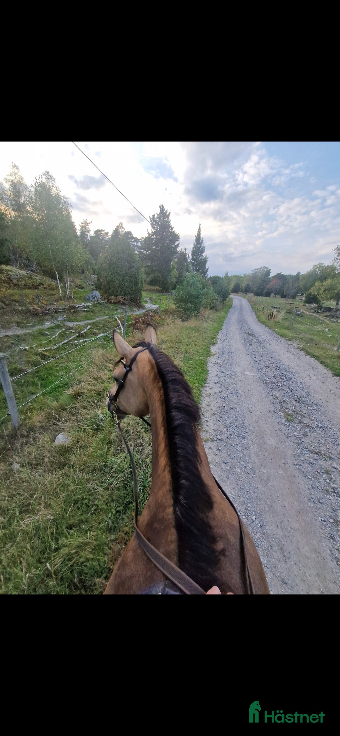  stallplats finnes: Stallplats i Brottby för ponny i Vallentuna - Annons 5