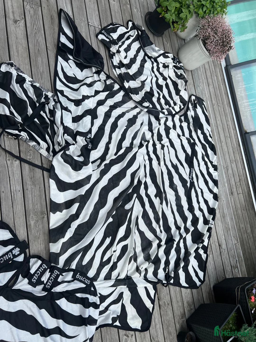 Täcken hästutrustning till salu: Bucas Buzz-Off Zebra flugtäcke – XL/155 - Annons 2