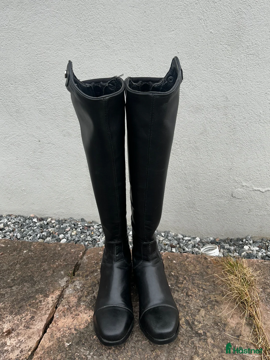 Ridstövlar ryttarutrustning till salu: Nooh Nooh stövlar till salu!  - Annons 4