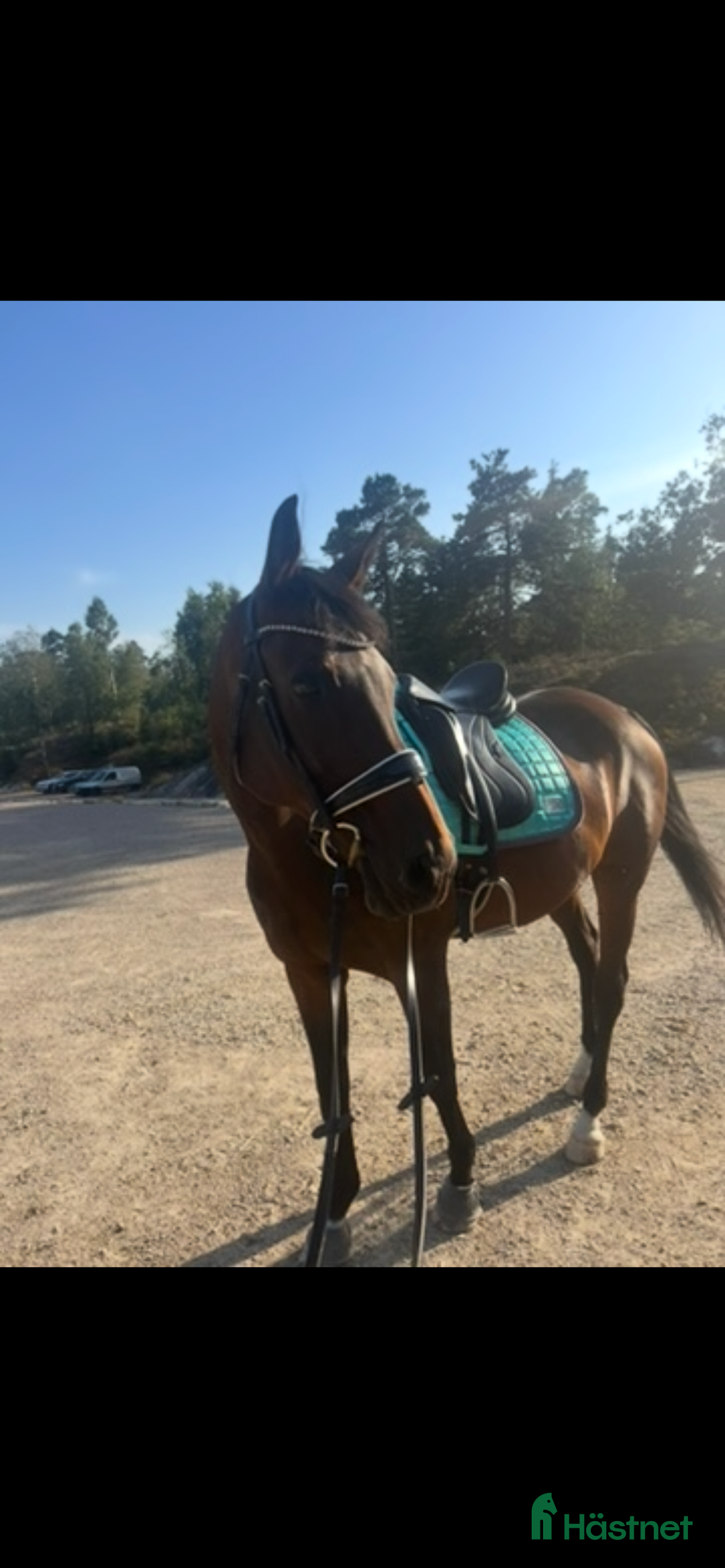 Sadlar hästutrustning till salu: Jätte fin sadel i Henån - Annons 1