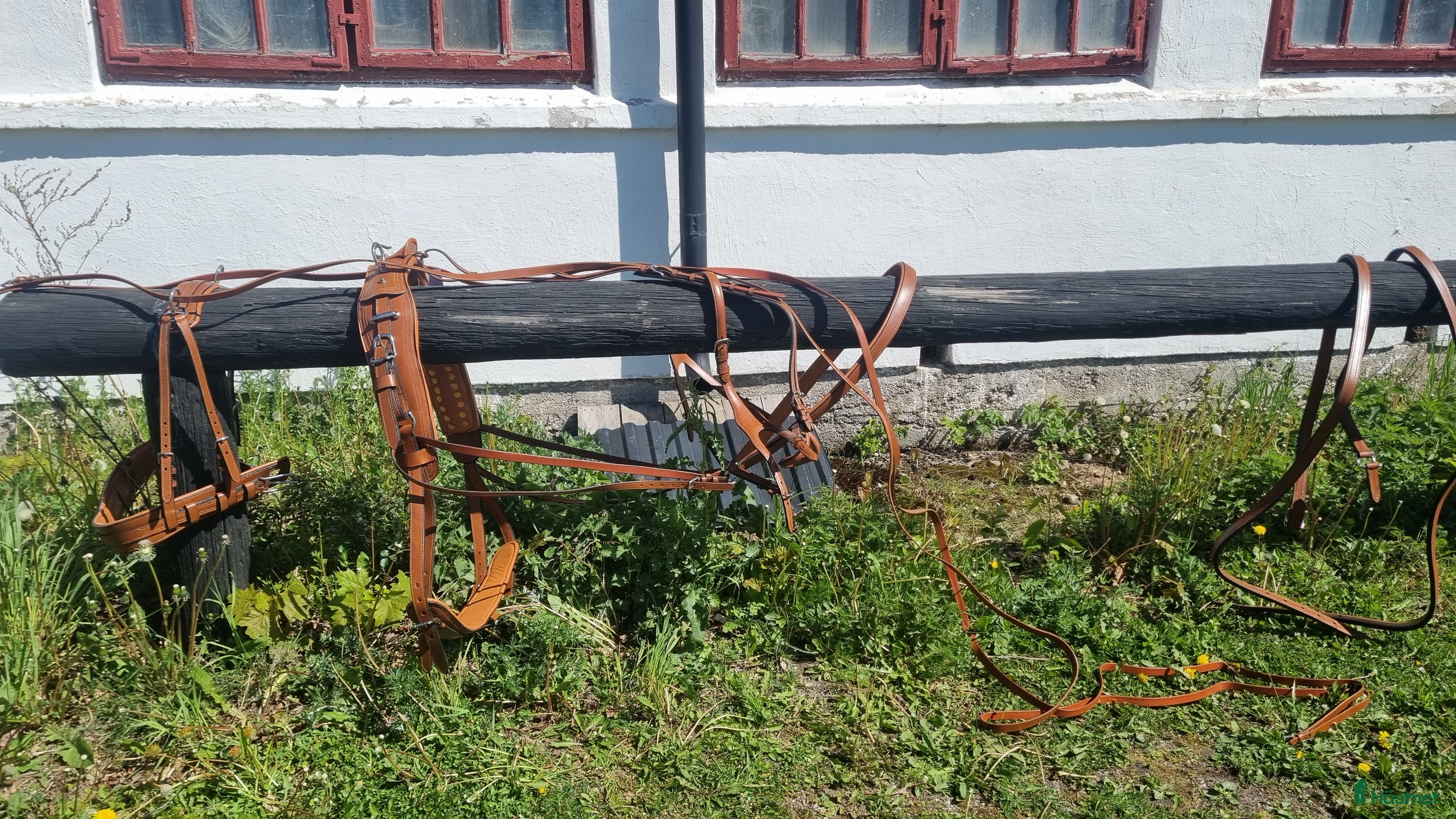 Körselar körning till salu: Cognac färgad bröstsele X-full i Eskilstuna - Annons 3