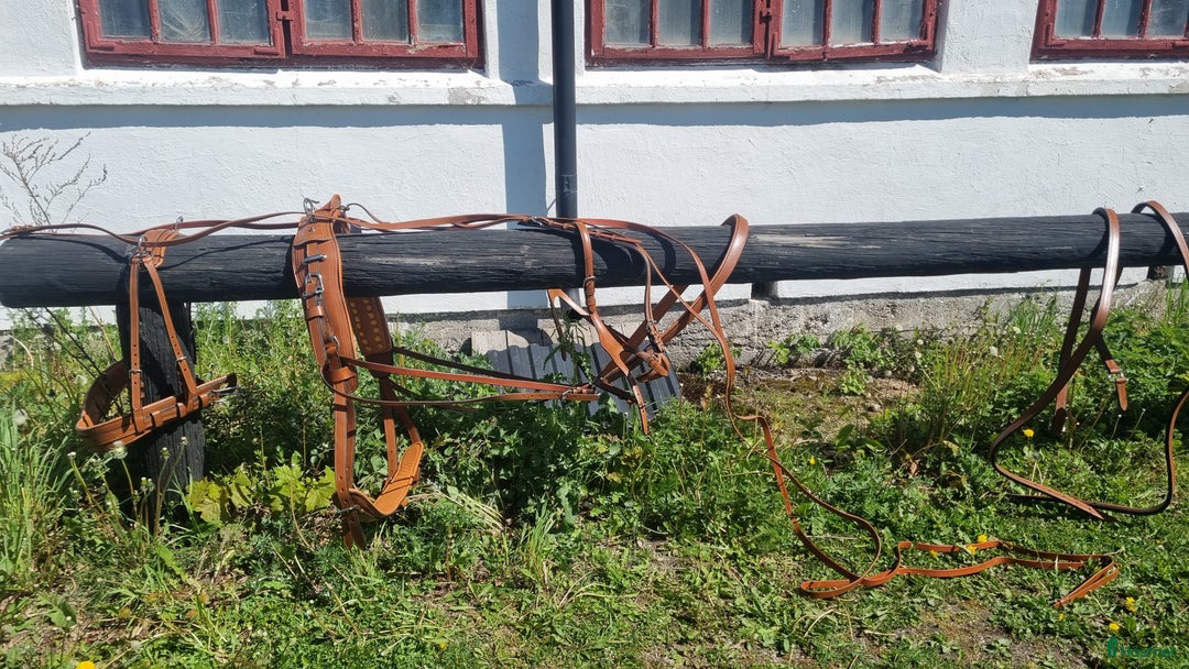 Körselar körning till salu: Cognac färgad bröstsele X-full i Eskilstuna - Annons 1