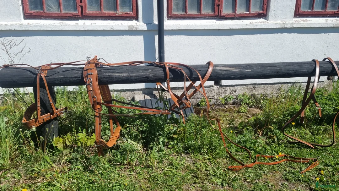 Körselar körning till salu: Cognac färgad bröstsele X-full i Eskilstuna - Annons 1