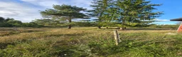  stallplats finnes: Stallplats finnes i Holmsjö - Annons 4