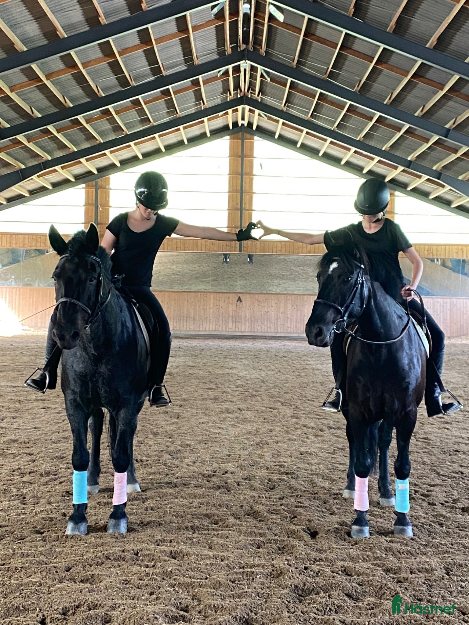  medryttarhäst finnes: 🐴 Medryttare sökes till Karlshems ponnyklubb 🐴 - Annons 1