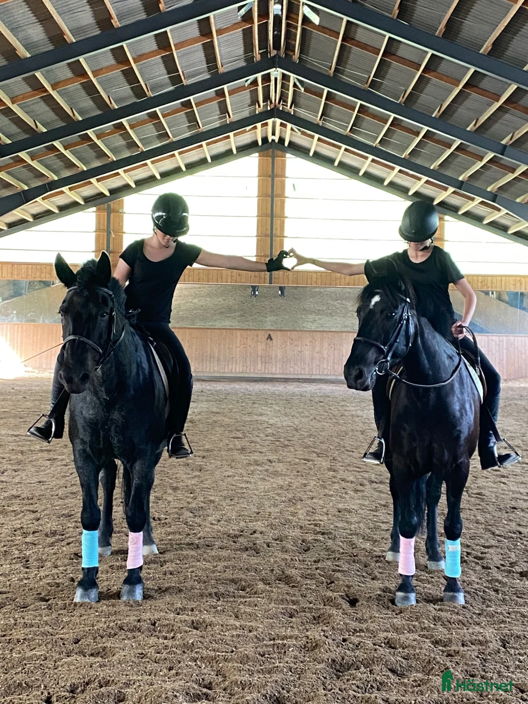 medryttarhäst finnes: 🐴 Medryttare sökes till Karlshems ponnyklubb 🐴 - Annons 1