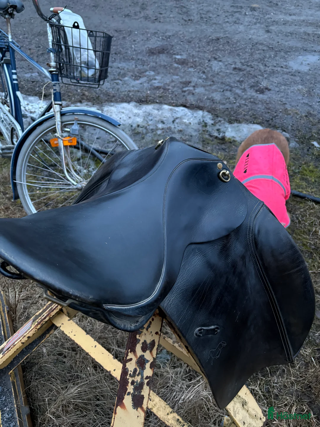 Sadlar hästutrustning till salu: Islandssadel - Annons 4