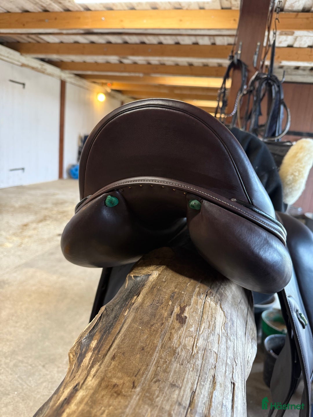 Sadlar hästutrustning till salu: Amerigo Pasubio Dressage Saddl i Söderköping - Bild 7