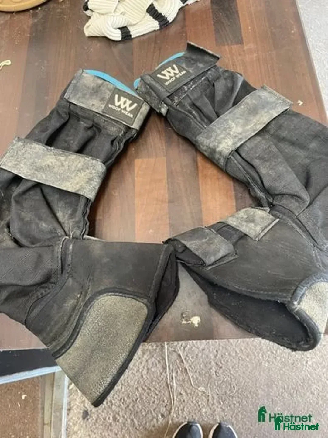 Benskydd hästutrustning till salu: Muggskydd Woof Wear strl XL säljes! - Annons 2