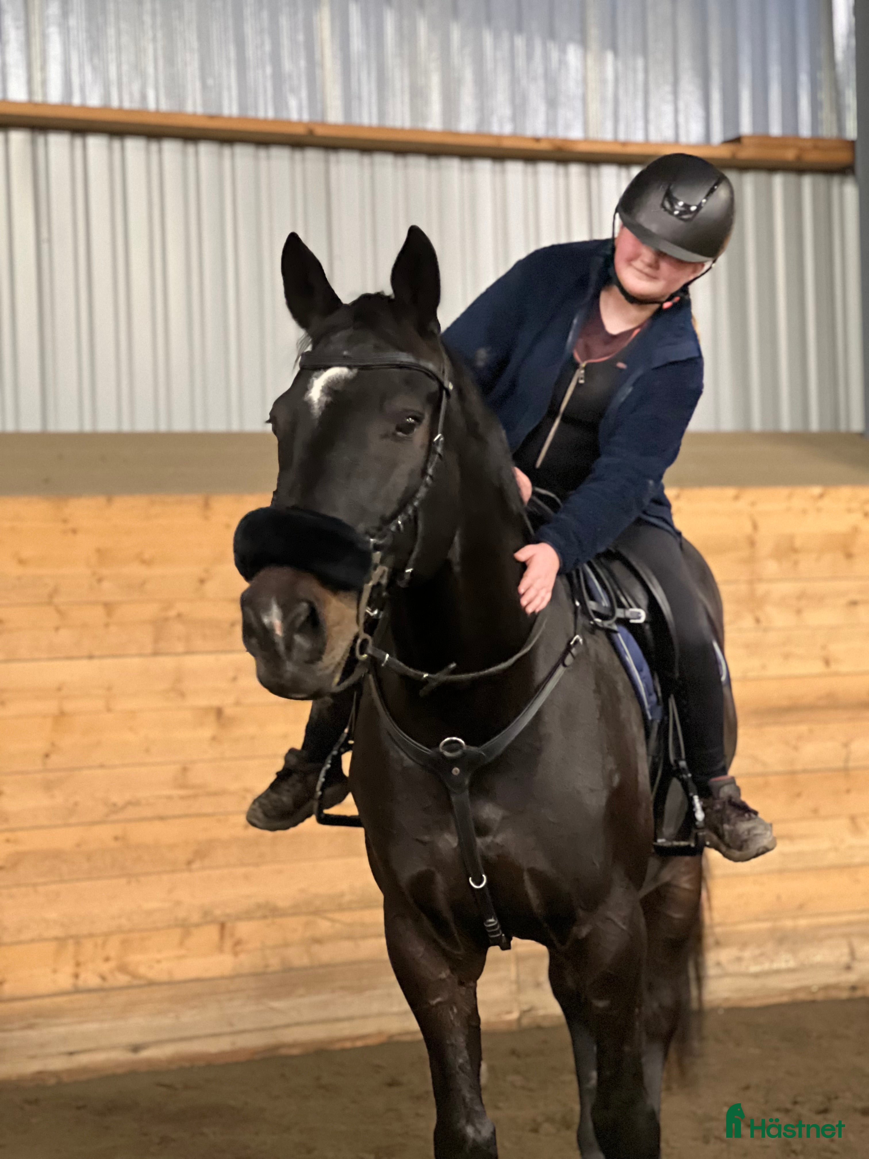  hästar Söker en bästa vän<3 - Annons 12