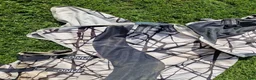 Täcken hästutrustning till salu: Regn/Flugtäcke Camofly 3-in-1 Plus Amigo Horseware - Annons 3