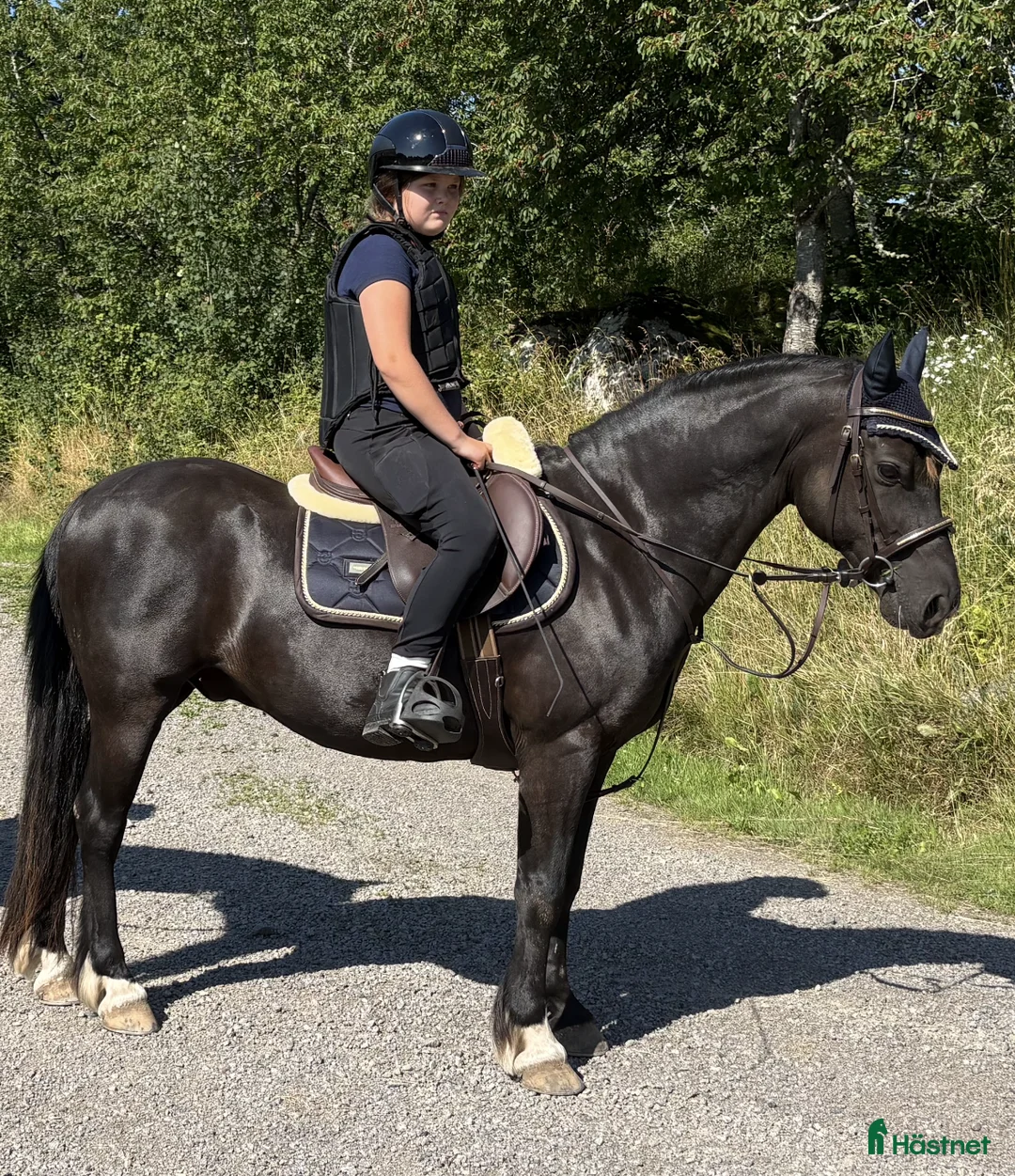 Allround hästar till salu: Trygg allroundponny söker sin nya bästa vän i Huskvarna - Annons 1