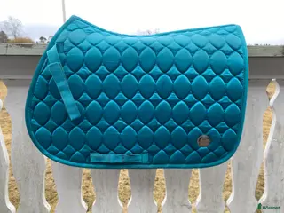 Schabrak & Vojlockar hästutrustning Shabrak - Annons 3