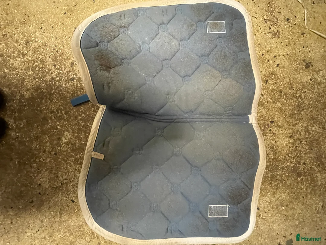 Schabrak & Vojlockar hästutrustning till salu: Equestrian Stockholm set - Annons 3