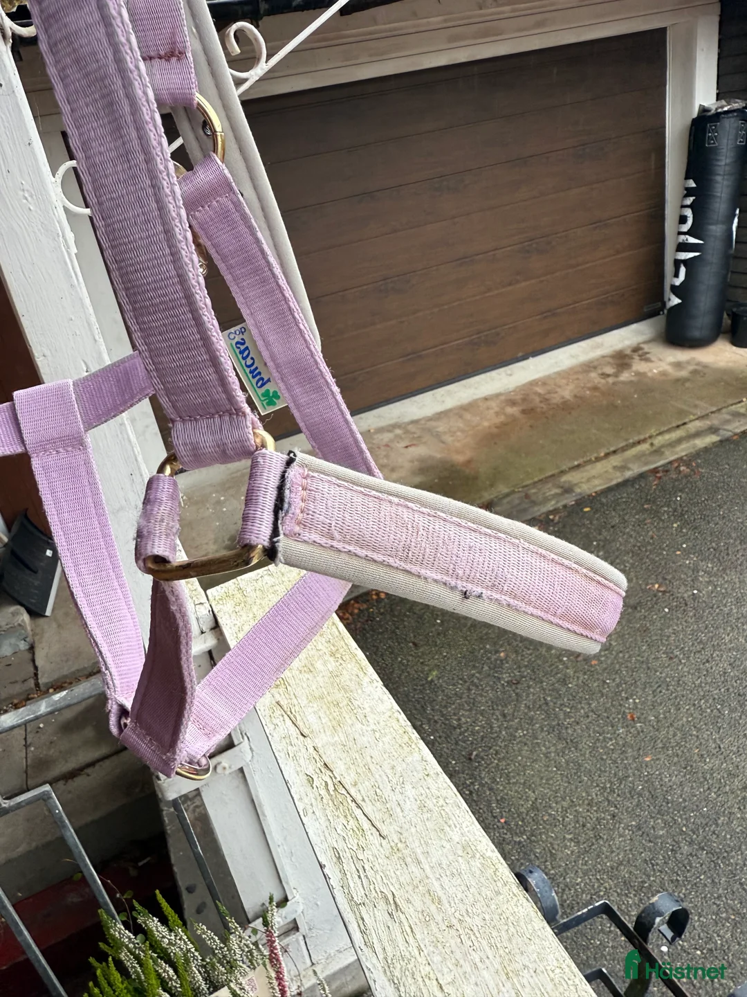 Övrig Hästutrustning hästutrustning till salu: Lila grimma cobstorlek av märket Bucas  i Hålta - Annons 3