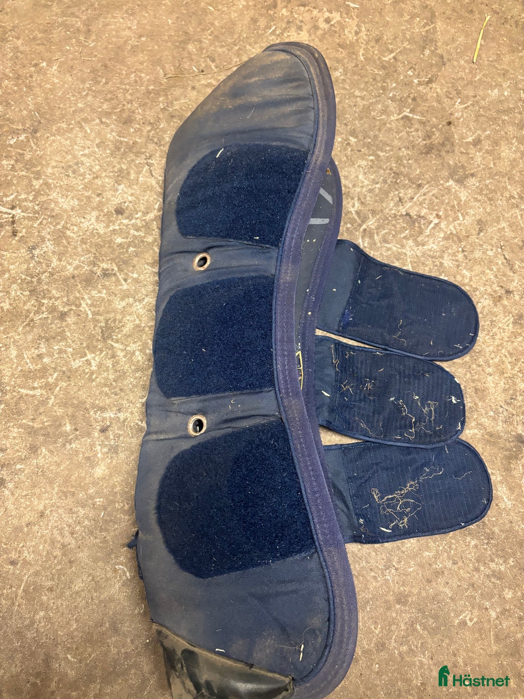 Benskydd hästutrustning till salu: Kingsland transportskydd  i Vinninga - Annons 15