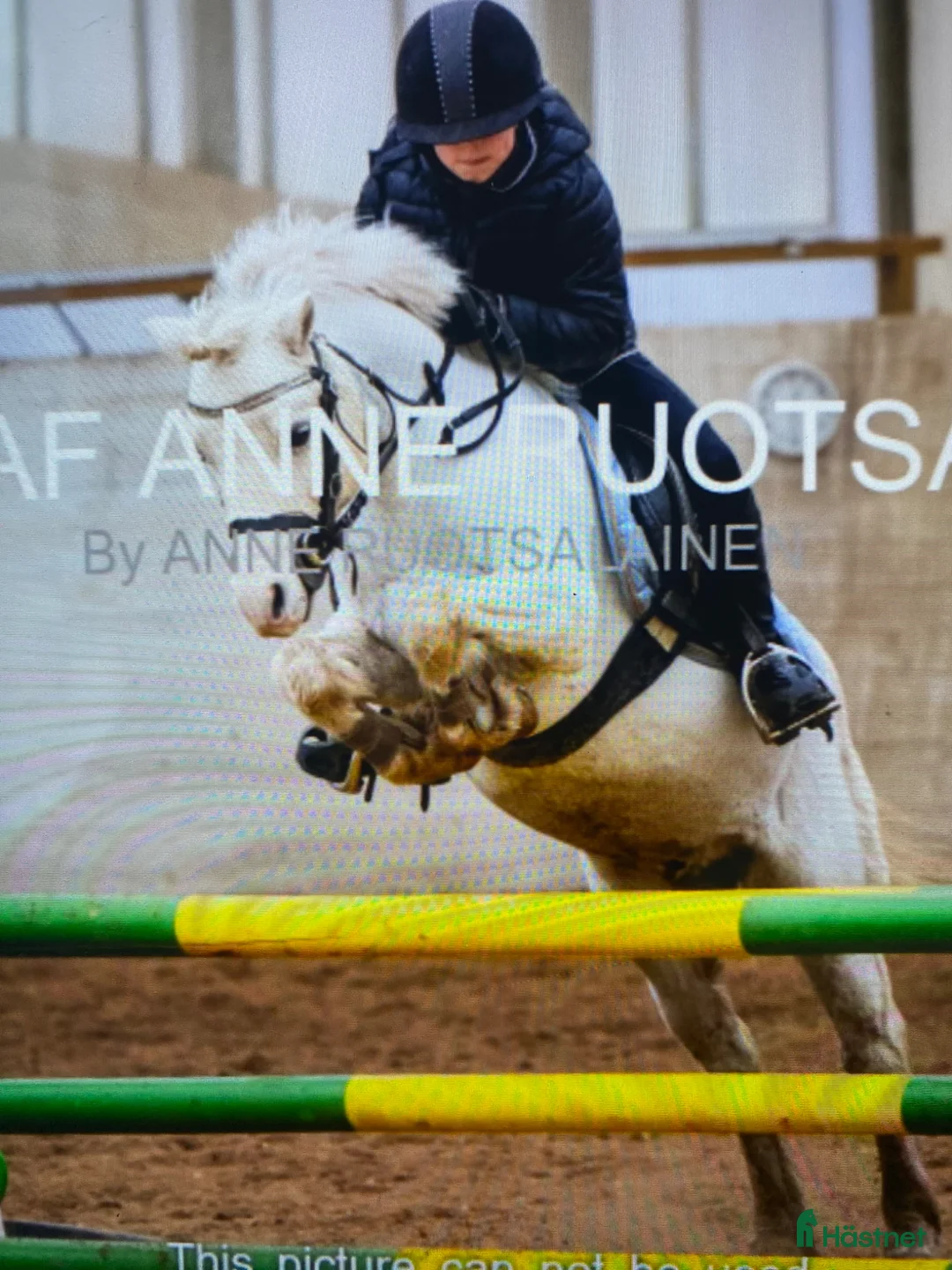 Allround hästar sökes: Söker en bästa vän,foder,eller köp💕 i Västerhaninge - Annons 1